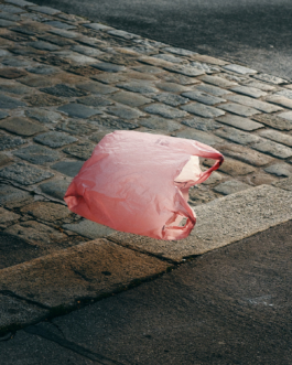 Pink Plastic Bag by Erli Grünzweil