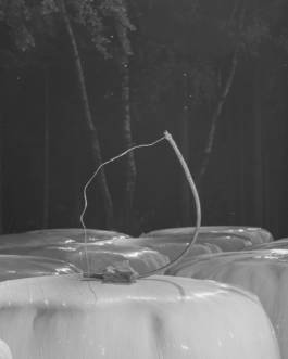 Mundane Confusion Constant Mystification by Erli Grünzweil