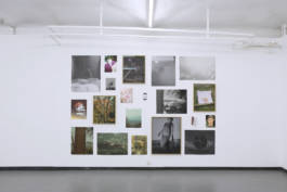 Mundane Confusion Constant Mystification by Erli Grünzweil