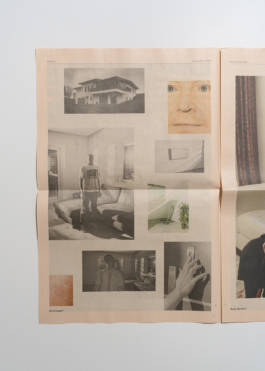 Uncanny Solidute in Der Standard Album by Erli Grünzweil