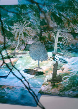 Dreaming Is Okay by Susanna Hofer and Erli Grünzweil