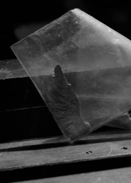 Dreaming Is Okay by Susanna Hofer and Erli Grünzweil