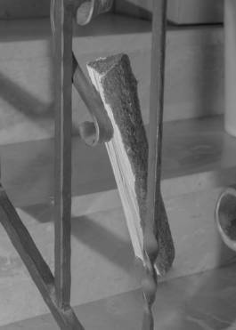 Beatriz by Erli Grünzweil