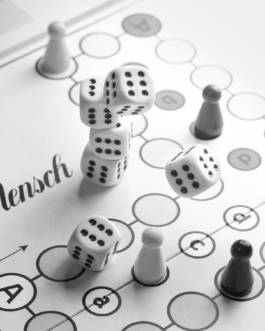 Cheater for Fleisch Magazin by Erli Grünzweil