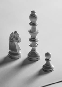 Cheater for Fleisch Magazin by Erli Grünzweil