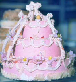 Emilia Nagy and fake food for Zeit Magazin Wochenmarkt