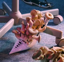 Versace for SZ Magazin by Erli Grünzweil