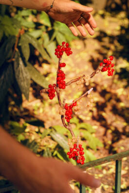 Karmeliterviertel for Vienna Tourist Board by Erli Grünzweil