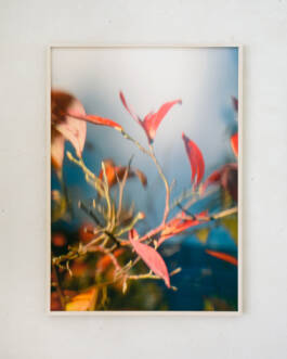 Consider Things by Erli Grünzweil