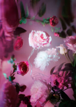 Campaign for Veinna State Opera Season 2024/25 by Erli Grünzweil