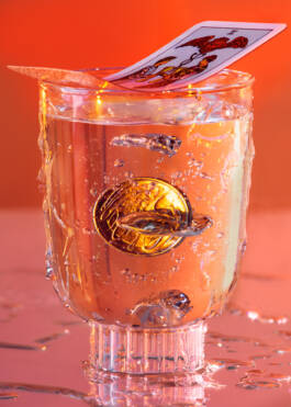 Campaign for Veinna State Opera Season 2024/25 by Erli Grünzweil