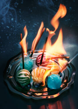 Campaign for Veinna State Opera Season 2024/25 by Erli Grünzweil