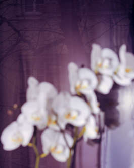 There Is Uncertainty by Erli Grünzweil