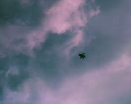 There Is Uncertainty by Erli Grünzweil