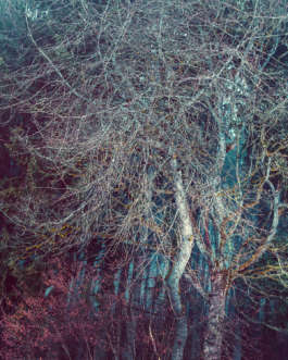 There Is Uncertainty by Erli Grünzweil