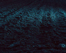 There Is Uncertainty by Erli Grünzweil