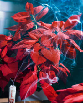 There Is Uncertainty by Erli Grünzweil