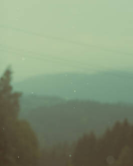 Mundane Confusion Constant Mystification by Erli Grünzweil