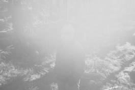 Mundane Confusion Constant Mystification by Erli Grünzweil