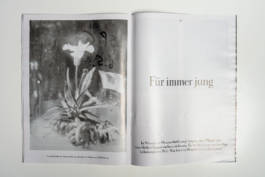 Silene for Zeit Magazin by Erli Grünzweil