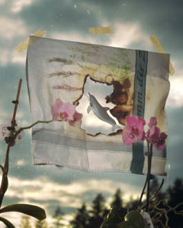 Consider Things by Erli Grünzweil