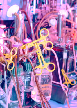 Isobionics for BMW Freude Forever Magazine by Erli Grünzweil