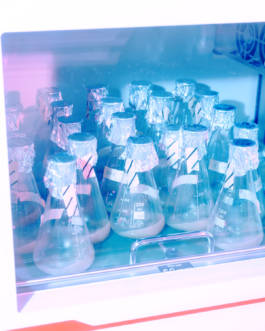 Isobionics for BMW Freude Forever Magazine by Erli Grünzweil