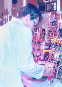 Isobionics for BMW Freude Forever Magazine by Erli Grünzweil