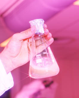 Isobionics for BMW Freude Forever Magazine by Erli Grünzweil