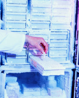 Isobionics for BMW Freude Forever Magazine by Erli Grünzweil