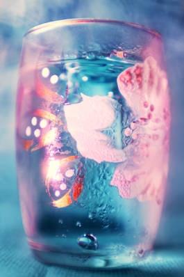 Drinks for SZ Magazin by Erli Grünzweil