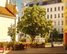 Karmeliterviertel for Vienna Tourist Board by Erli Grünzweil