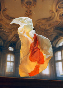 Campaign for Veinna State Opera Season 2024/25 by Erli Grünzweil