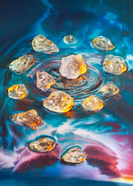 Campaign for Veinna State Opera Season 2024/25 by Erli Grünzweil