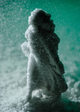 Campaign for Veinna State Opera Season 2024/25 by Erli Grünzweil