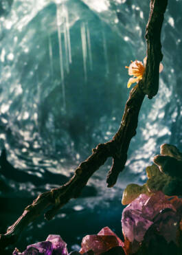 Campaign for Veinna State Opera Season 2024/25 by Erli Grünzweil