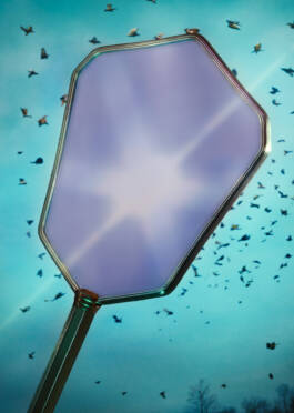 Campaign for Veinna State Opera Season 2024/25 by Erli Grünzweil