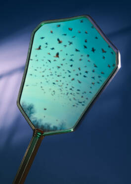 Campaign for Veinna State Opera Season 2024/25 by Erli Grünzweil